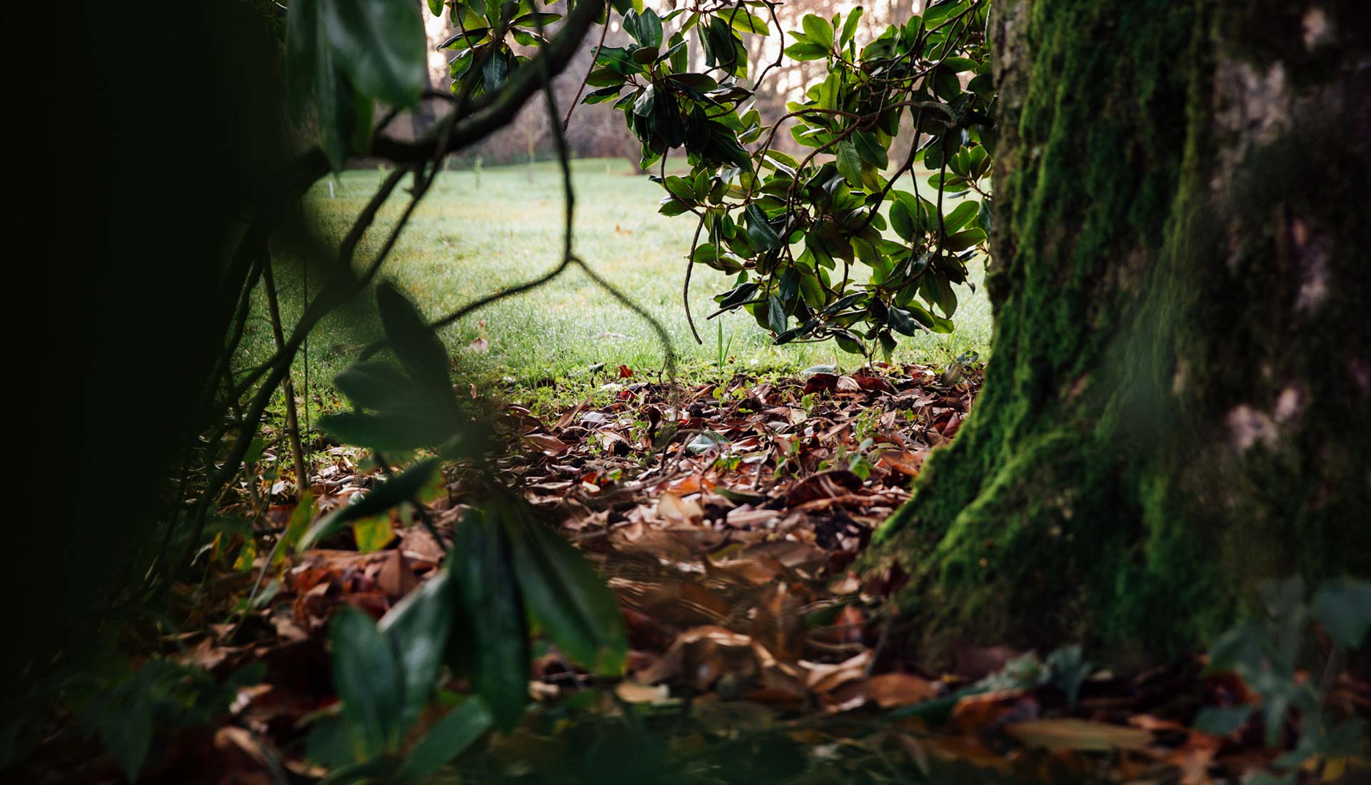 Giardino Villa Meli Lupi - slideshow